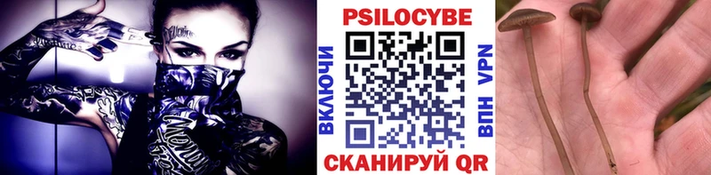 Галлюциногенные грибы Psilocybine cubensis  Купить где  Белогорск 